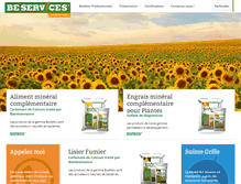 Tablet Screenshot of be-services.fr